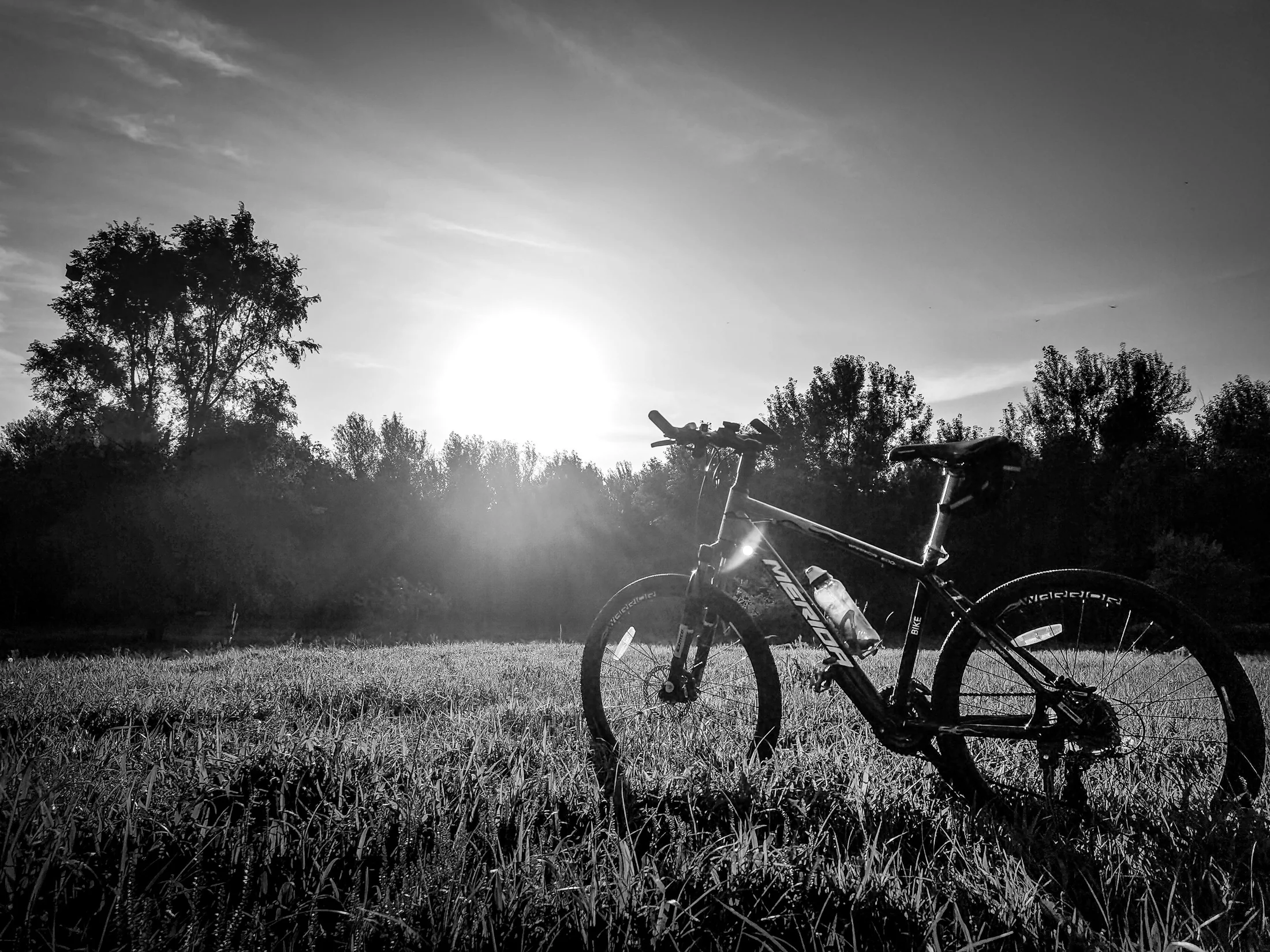 1772149514_bicicleta.webp
